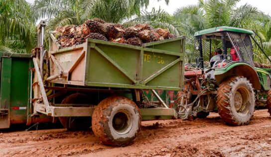 Parceria viabiliza projeto brasileiro para combustível sustentável de aviação
