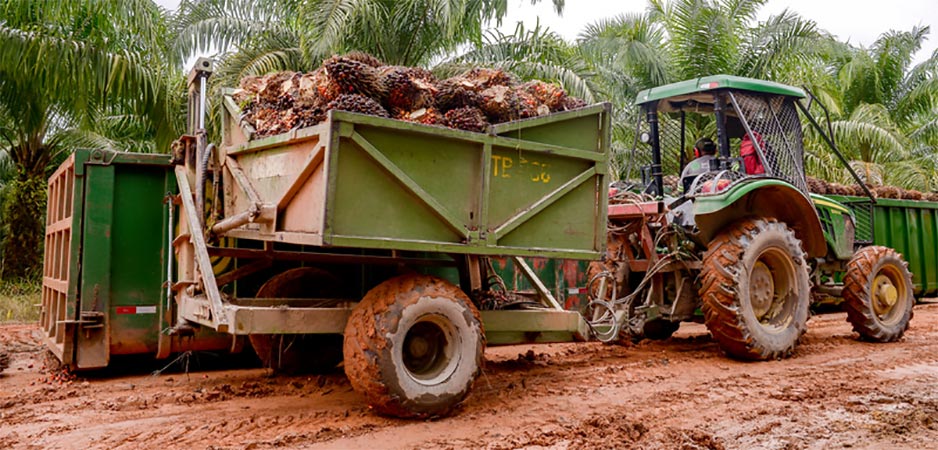 Parceria viabiliza projeto brasileiro para combustível sustentável de aviação