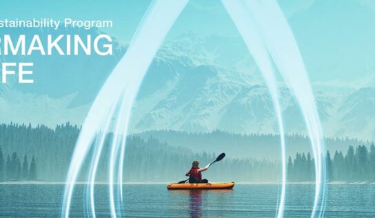 Programa prevê investimento de 100 milhões de euros por ano em produção de papel