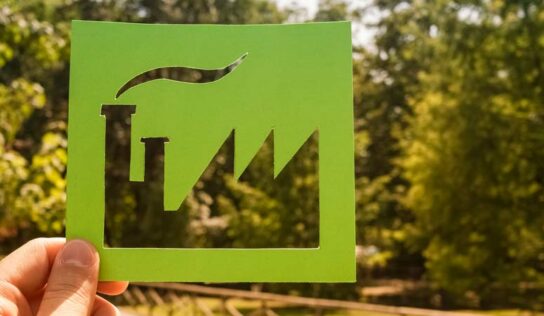 Advogado fala sobre Mercado Brasileiro de Redução de Emissões de Carbono