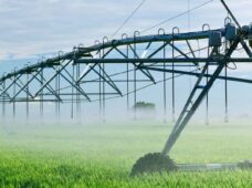 Emissão de R$ 293 milhões em CRA promoverá expansão em agricultura irrigada