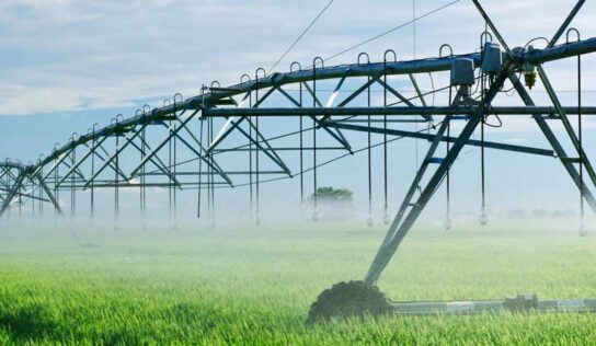 Emissão de R$ 293 milhões em CRA promoverá expansão em agricultura irrigada