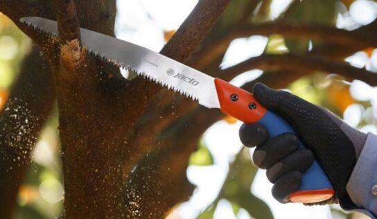 Novidades: Linha de poda passa a incluir serrotes, tesouras manuais e a bateria