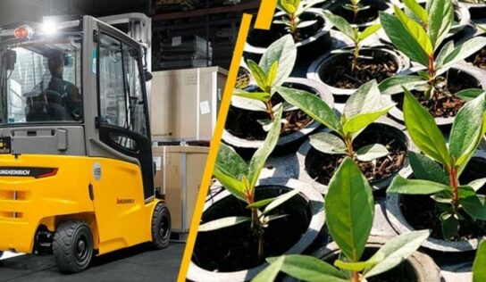 Empresa planta árvores a cada equipamento elétrico que substitua uma a combustão