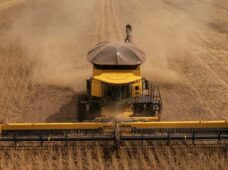 Nova colheitadeira escolhe estratégias conforme a condição da lavoura&nbsp; e o objetivo desejado