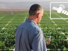 Irrigação: novas tecnologias aumentam eficiência