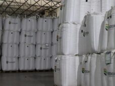 Produtora de sementes de soja, investe R$ 40 milhões em estrutura de armazenamento