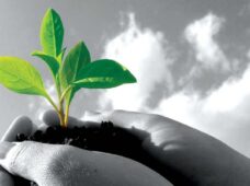 Reflorestamento e a produção de água: Teresópolis ganha 3 mil árvores