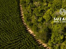 Cálculo de emissões ajuda a monitorar indicadores de sustentabilidade