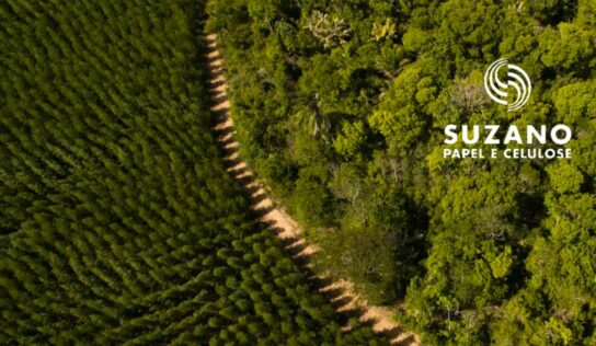 Cálculo de emissões ajuda a monitorar indicadores de sustentabilidade