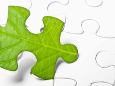 Energia limpa: retorno às origens?