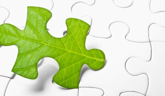 Energia limpa: retorno às origens?