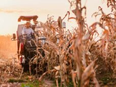 Retorno de eventos impulsionaram vendas de equipamentos agrícolas em 2022