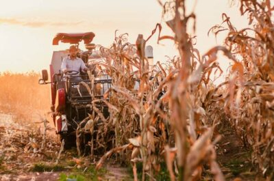 Retorno de eventos impulsionaram vendas de equipamentos agrícolas em 2022
