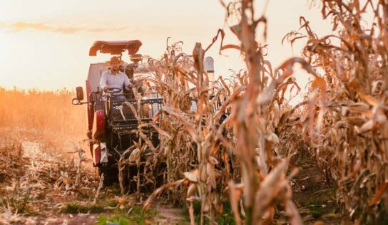 Retorno de eventos impulsionaram vendas de equipamentos agrícolas em 2022