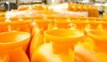 Especialização e meio ambiente: focos centenários