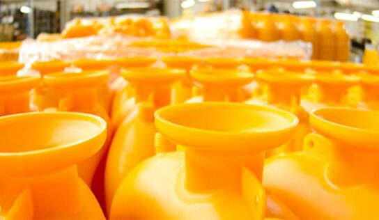 Especialização e meio ambiente: focos centenários