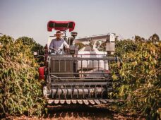 Pequeno e médio produtor no foco da Yanmar