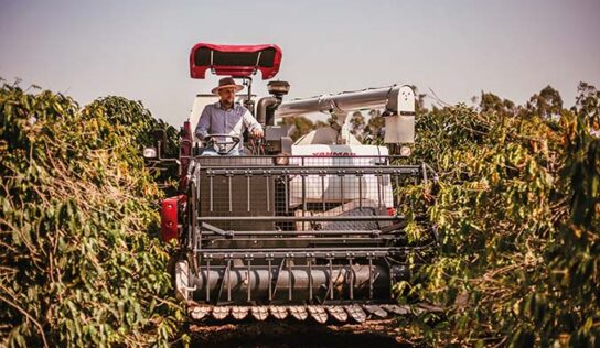 Pequeno e médio produtor no foco da Yanmar