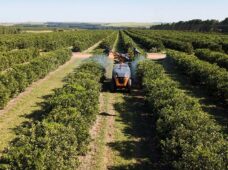 Nova família de displays para agricultura de precisão