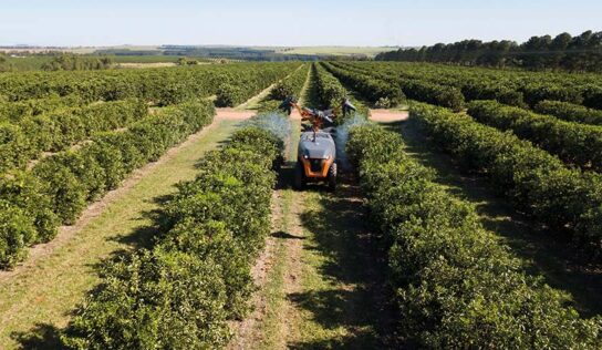 Nova família de displays para agricultura de precisão