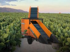 Inovação para a colheita de palma forrageira no semiárido