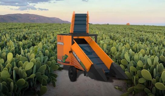 Inovação para a colheita de palma forrageira no semiárido