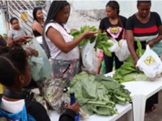 Indústria doa 8 toneladas de hortaliças a projeto social em SP