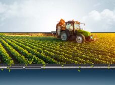 Entrevista: Inteligência artificial no campo é a 5ª Revolução da Agricultura