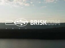 Aos 20 anos, Briskcom se reinventa e busca fomentar a transformação digital do agronegócio