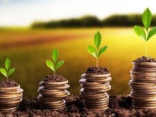 O fomento à produção do pequeno e do médio agropecuarista