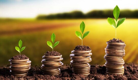 O fomento à produção do pequeno e do médio agropecuarista