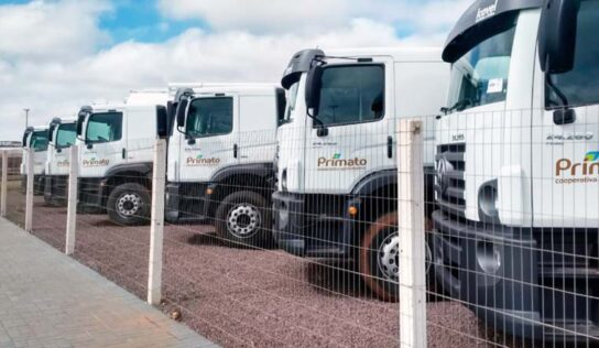 Cooperativa agrícola investe em produção de combustível renovável e eletricidade limpa