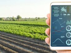 Essência tecnológica