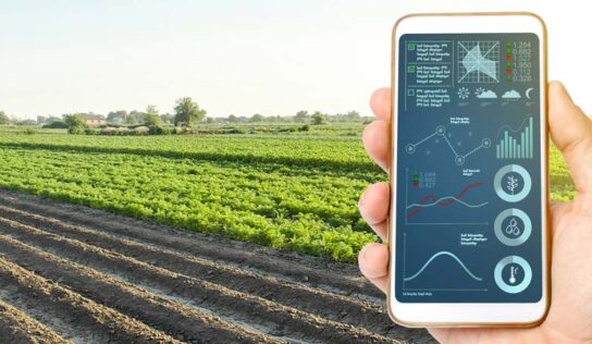 Essência tecnológica