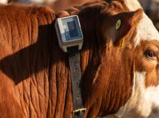 Belgo Arames investe em AgTech mirando no futuro das cercas rurais