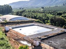 Bioplantas viabilizam descarbonização para o agronegócio brasileiro