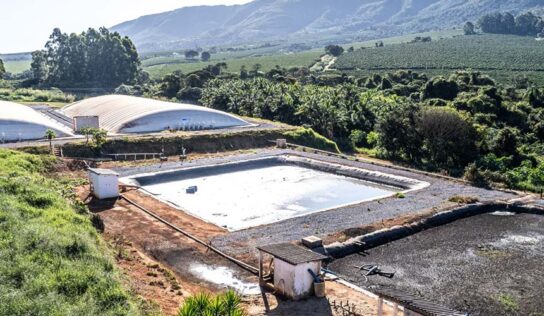 Bioplantas viabilizam descarbonização para o agronegócio brasileiro