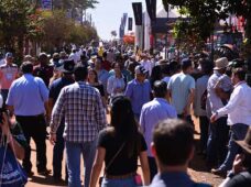 De expositores tradicionais a estreantes, todos se encontram na AGRISHOW