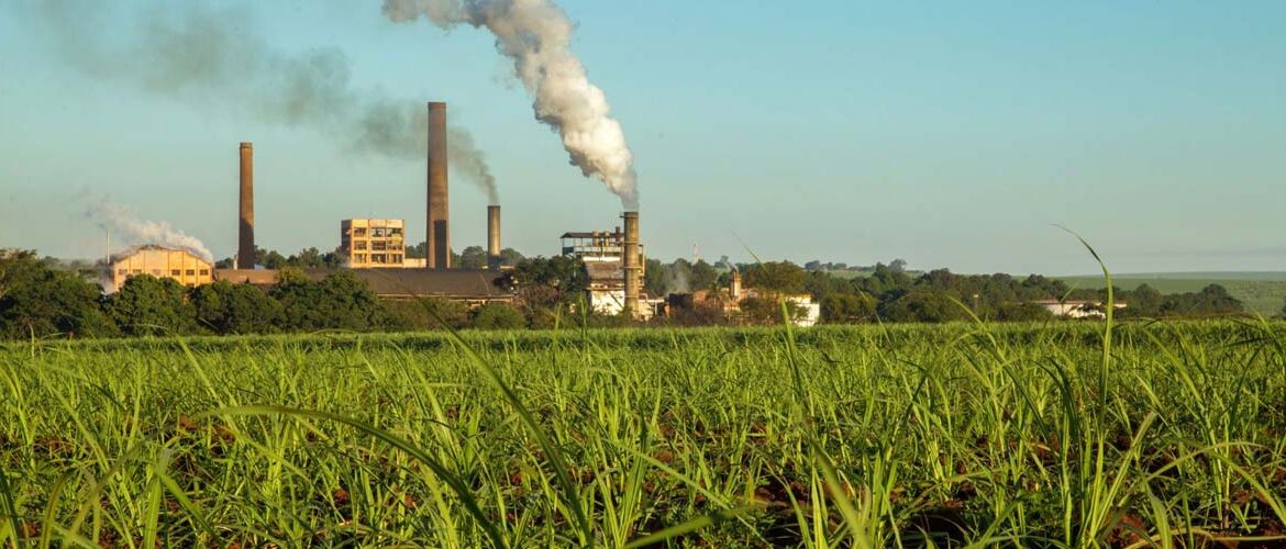 Anunciada maior fábrica de biometano a partir de cana do Brasil