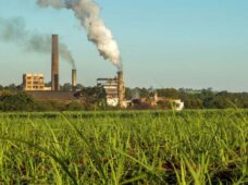 Anunciada maior fábrica de biometano a partir de cana do Brasil