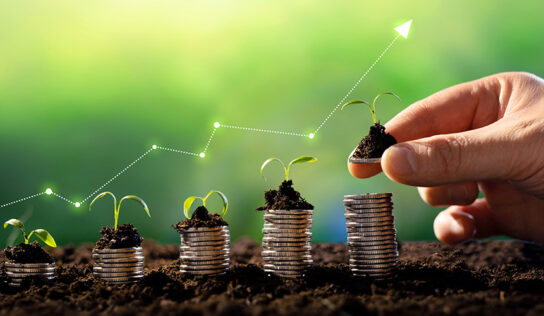 Em épocas de exposições, instituições financeiras também vão às feiras