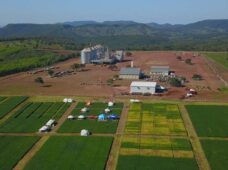 BNDES direciona R$ 40 mi a cooperativa do PR para armazenagem de grãos