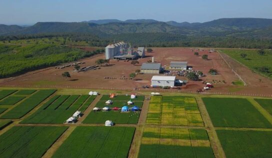 BNDES direciona R$ 40 mi a cooperativa do PR para armazenagem de grãos