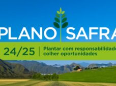 Com R$ 66,5 bi, Plano Safra 2024/2025 é maior já operado pelo BNDES