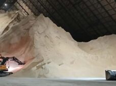 Movimentação de açúcar no Porto de Santos bate recorde