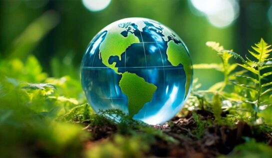 Regras de sustentabilidade do mercado internacional afetam empresas brasileiras