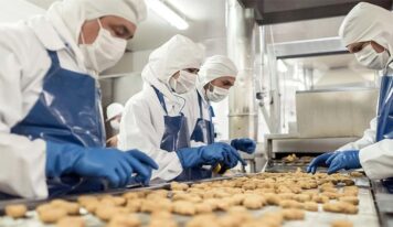 Indústria de alimentos comemora resultados expressivos de 2024 e prevê evolução em 2025