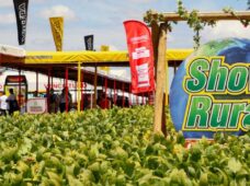 Abimaq divulga resultados dos associados que participaram do Show Rural Coopavel 2025