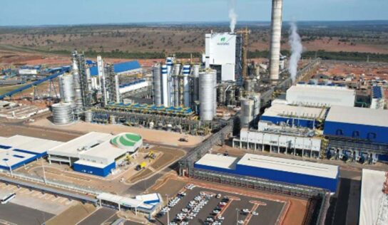 Suzano atinge 1 milhão de toneladas de produção em tempo recorde